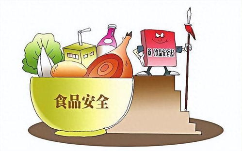 攤主因13元收入被罰3萬(wàn)元引爭(zhēng)議，法院判決揭示市場(chǎng)治理與法律公正